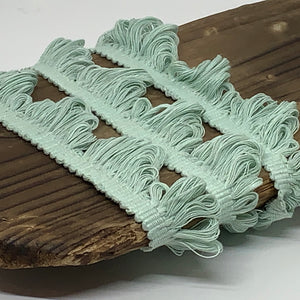 This is our plain sea foam fan edge trim on matching braid